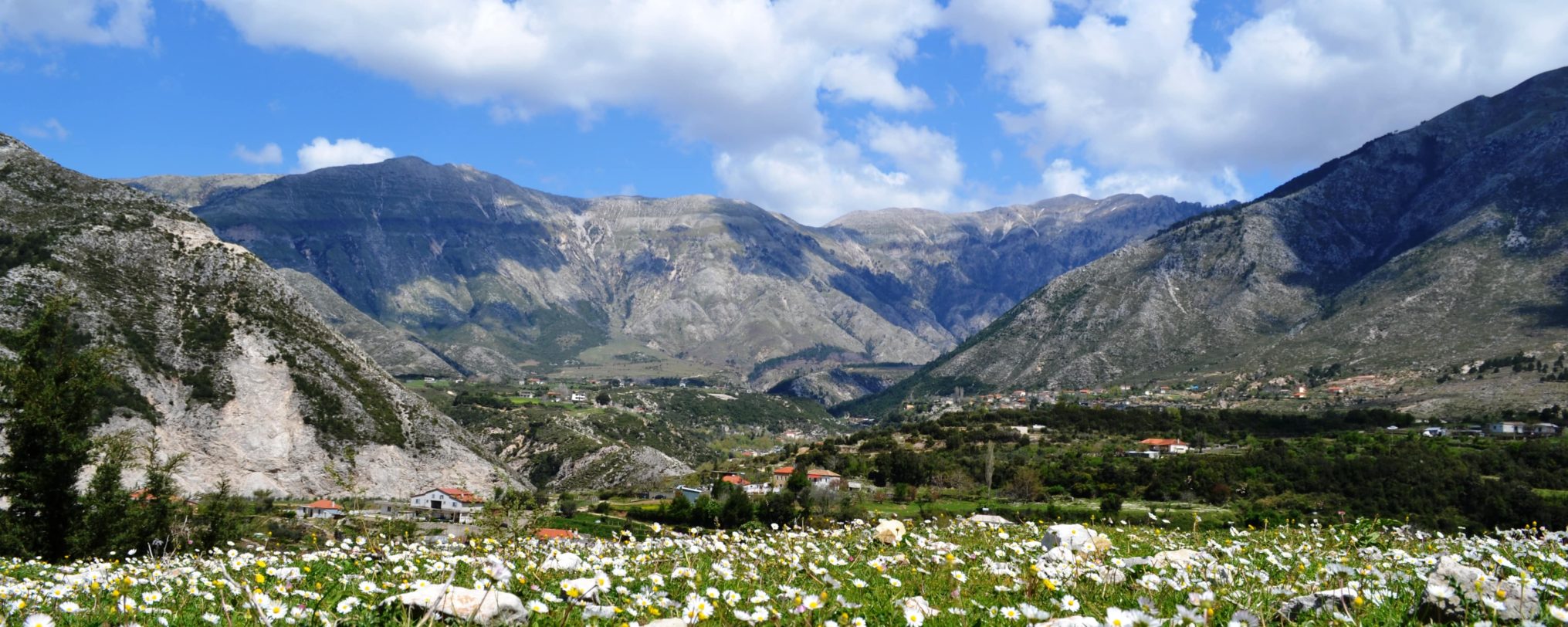 Dukat i vjetër-min Dukat i vjetër-min