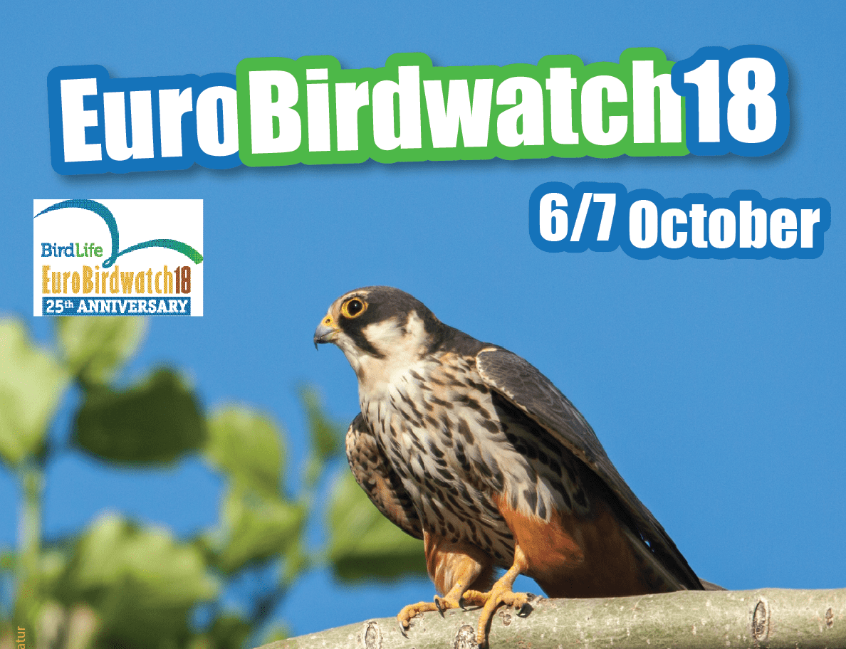EuroBirdwatch 2018: 25 YEARS FOR MIGRATORY BIRDS AND THEIR HABITATS