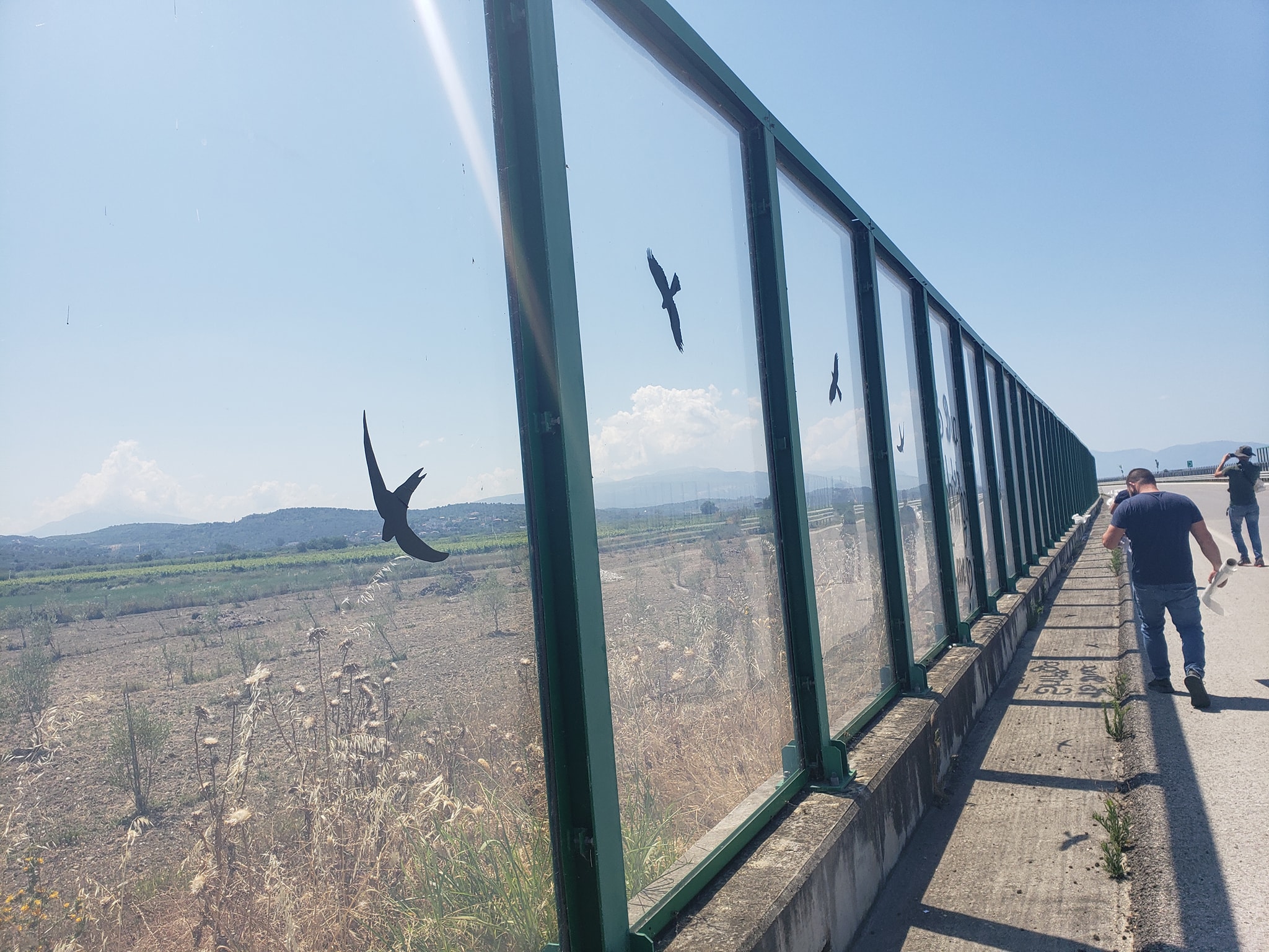 FROM “BARRIERS”, TO “BIRD-FRIENDLY” GLASSES