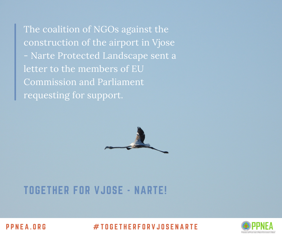 Support the protection of the internationally important Vjosa-Narta Protected Area in Albania from intensive infrastructure development plans