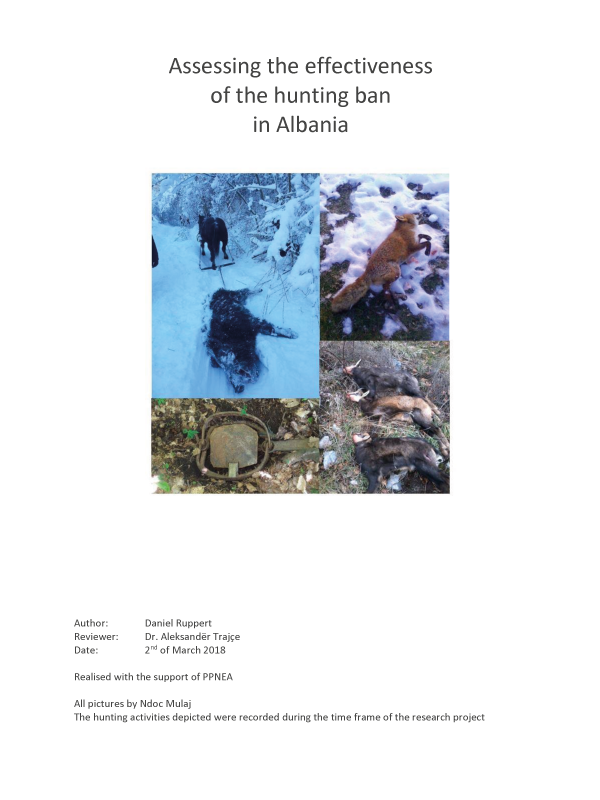 ASSESSING THE EFFECTIVENESS OF THE HUNTING BAN IN ALBANIA – DANIEL RUPPERT (2018)