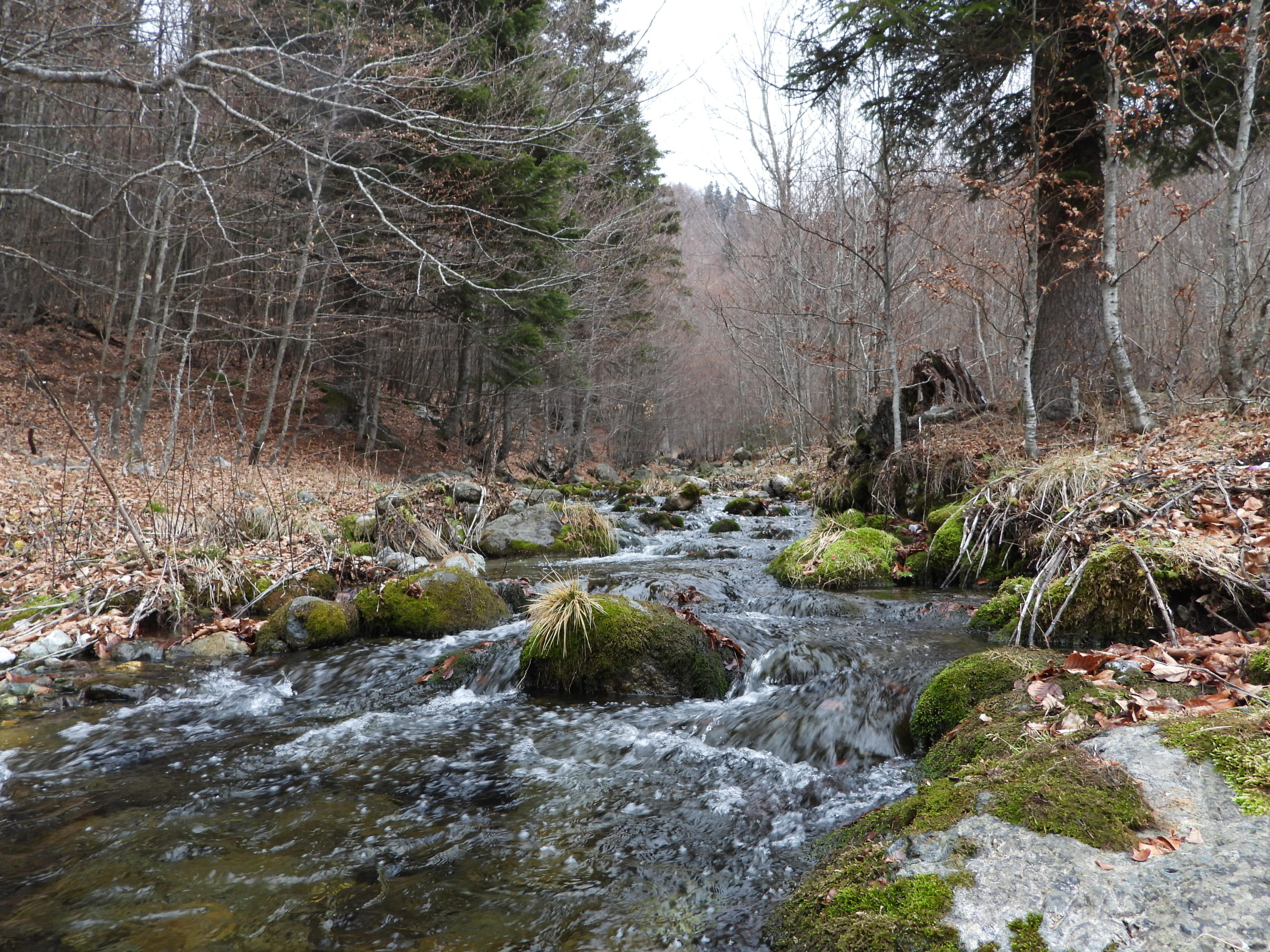 Protected Areas for Nature and People