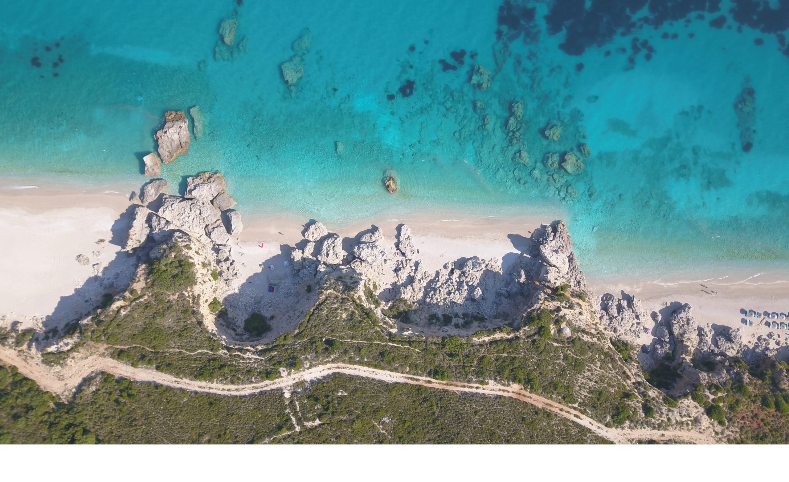 Eastern Adriatic Monk Seal Project