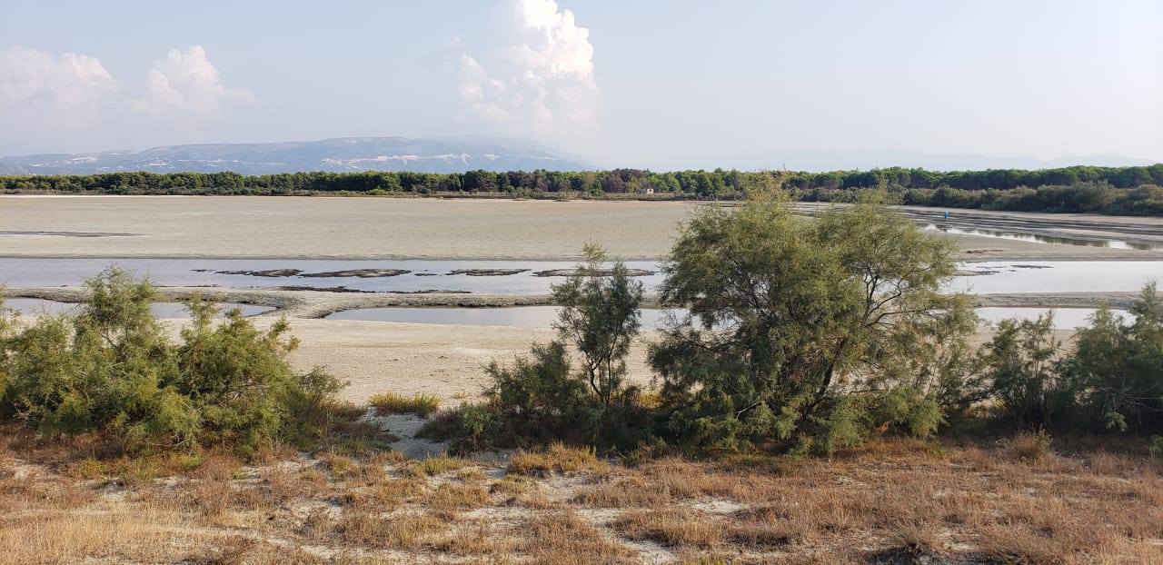 Natura 2000 në Shqipëri: rasti i kompleksit “Nartë-Pishë- Poro”
