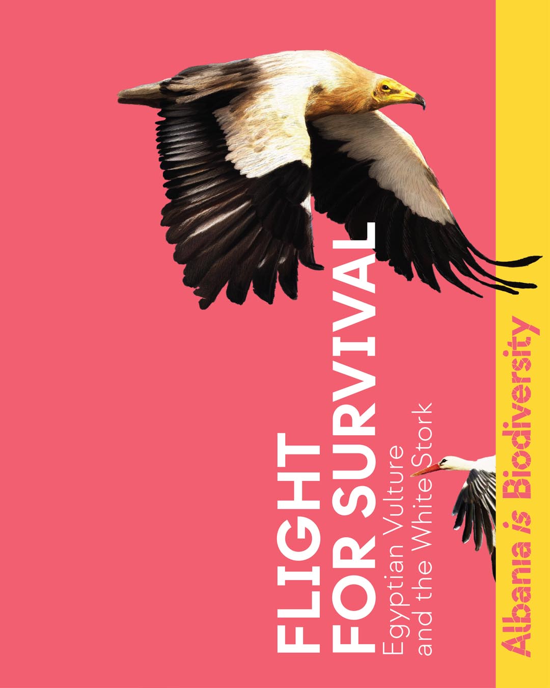 Flight for survival
