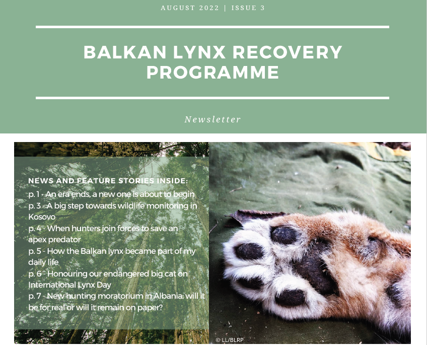 BALKAN LYNX RECOVERY PROGRAME – Newsletter 3