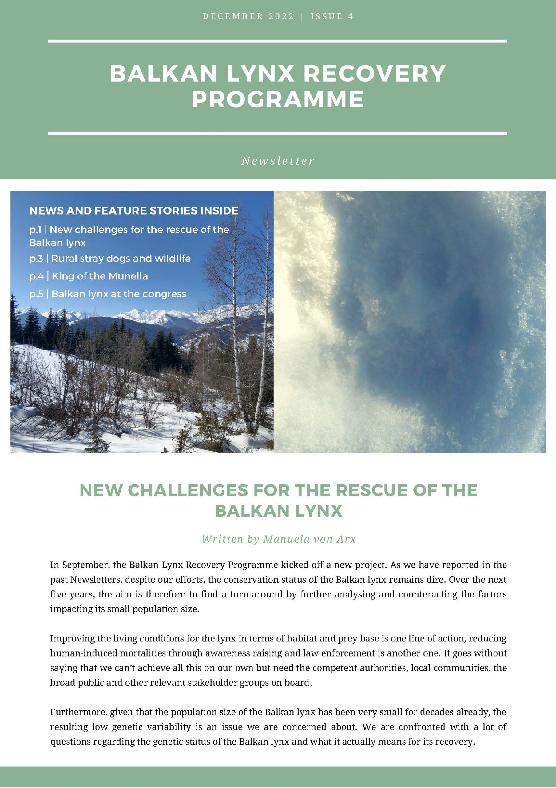 Balkan Lynx Recovery Programme – Newsletter no. 4
