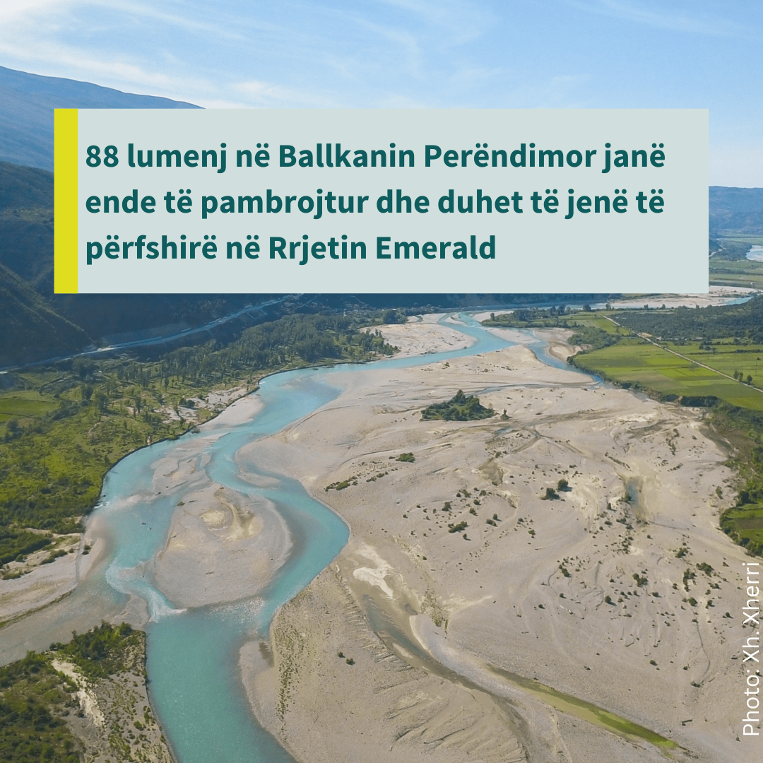 Ballkani Perëndimor: Shkencëtarët dhe përfaqësuesit e OJQ-ve bëjnë thirrje që më shumë lumenj të mbrohen, si pjesë e Rrjetit Emerald