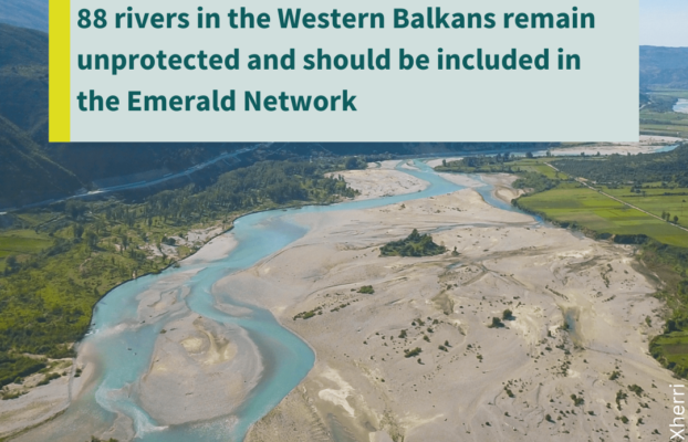 Western Balkans: Scientists and NGO representatives call for more rivers to be protected as part of the Emerald Network