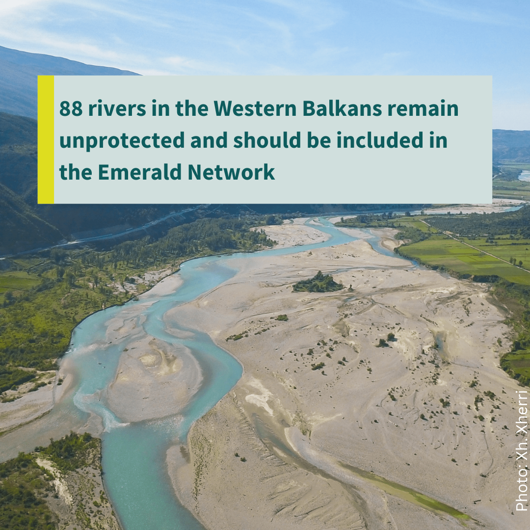 Western Balkans: Scientists and NGO representatives call for more rivers to be protected as part of the Emerald Network