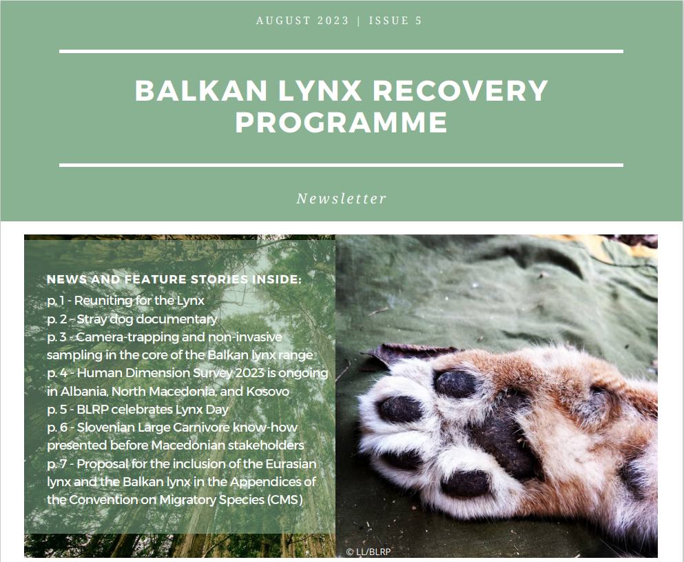 BALKAN LYNX RECOVERY PROGRAME – Newsletter no. 5