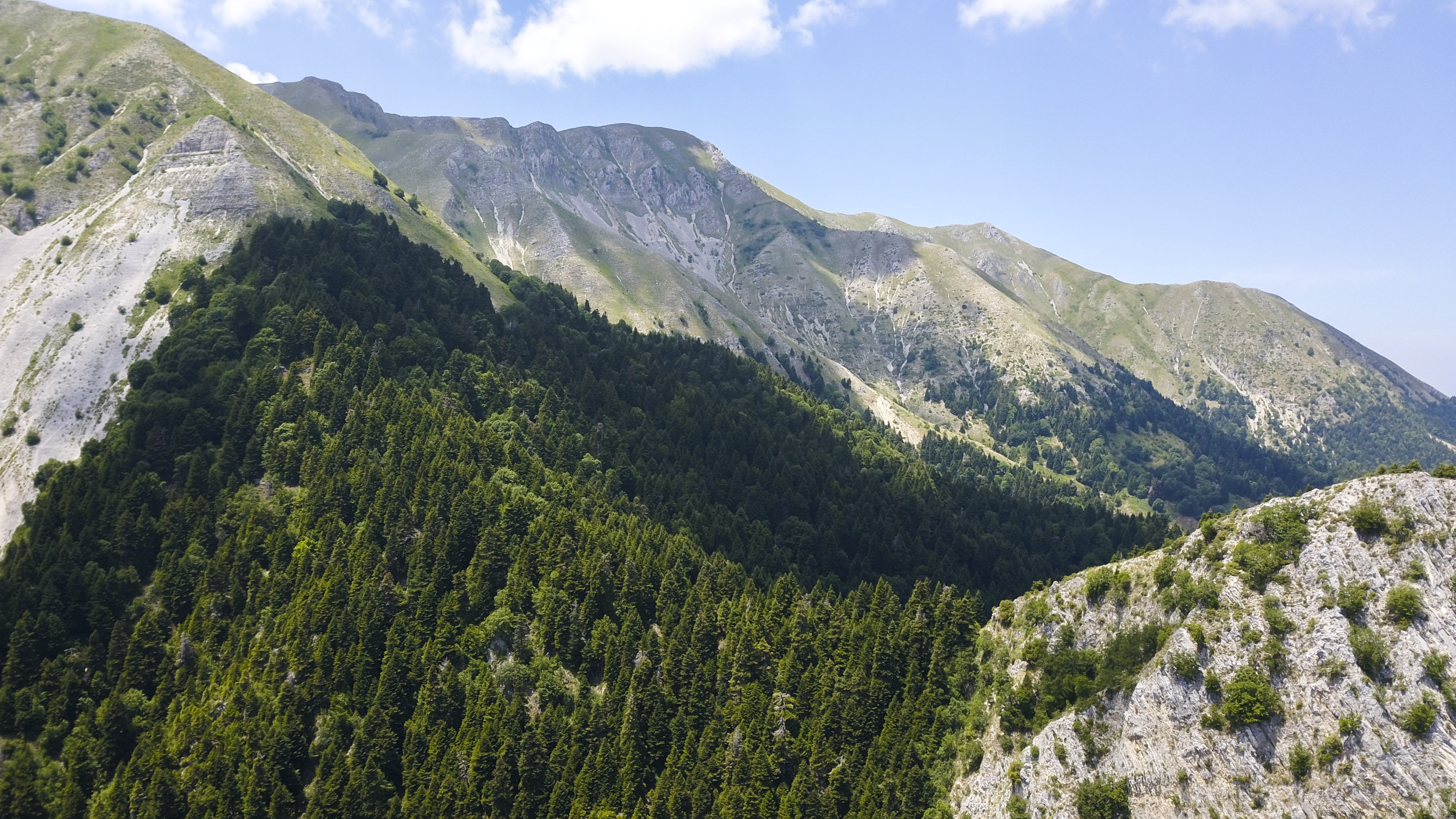 Safeguarding Vital Forests in Albania and North Macedonia for the Benefit of Nature and People