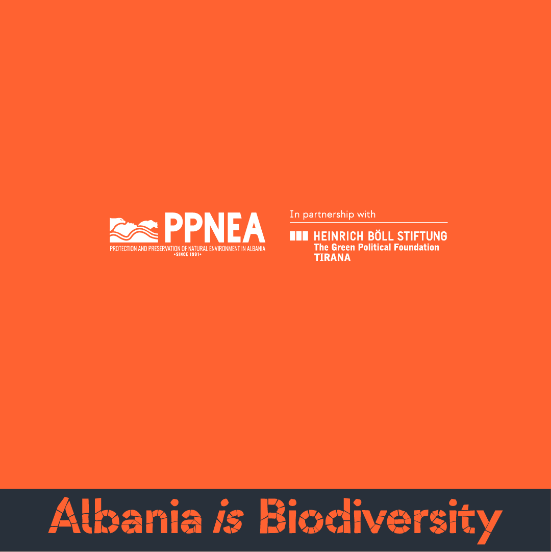 Week 2 Events – Albania is Biodiversity