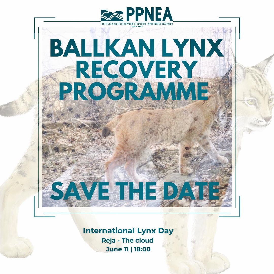 Celebration of International Lynx Day