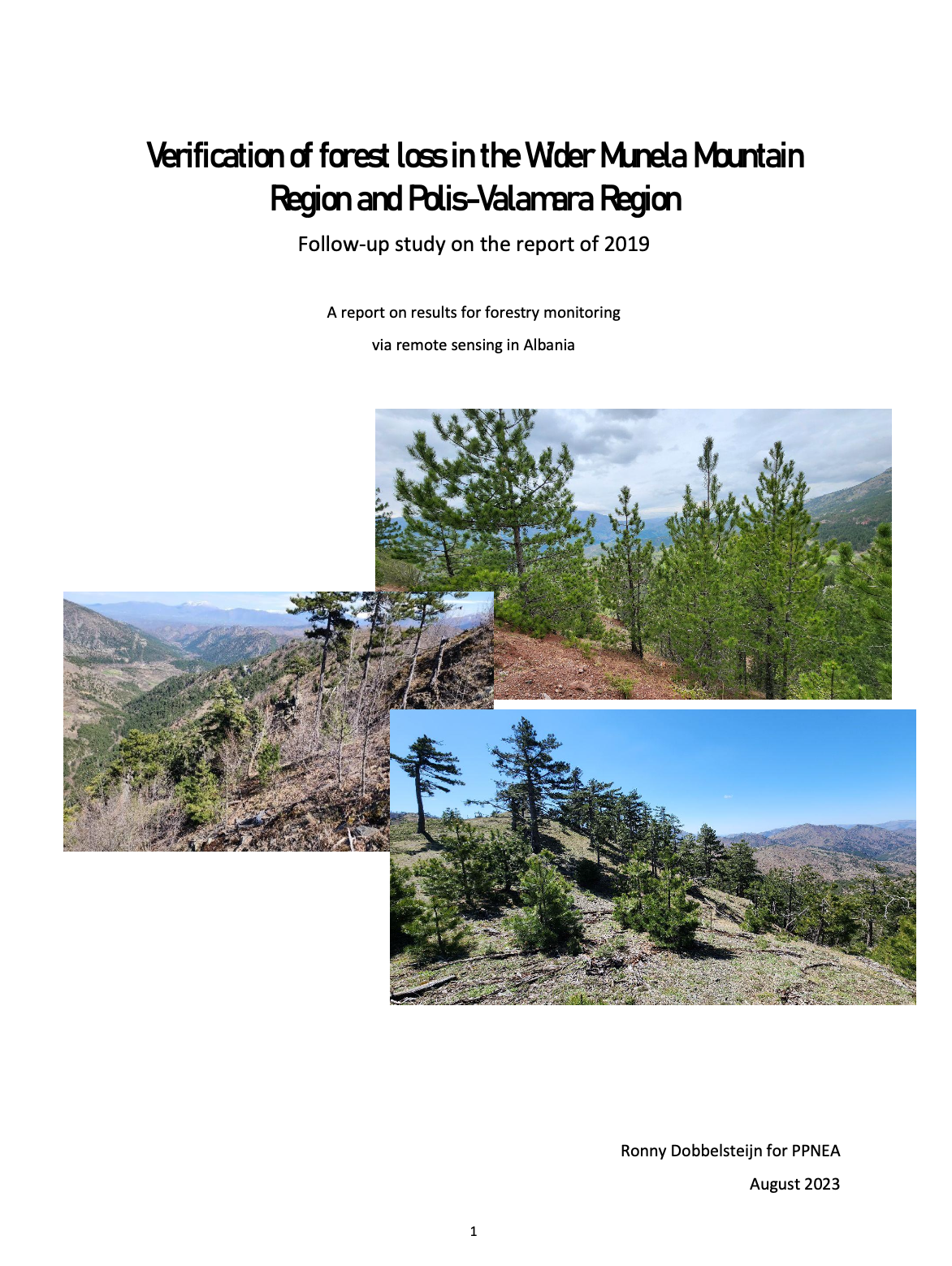 Report on Forest Monitoring 2023