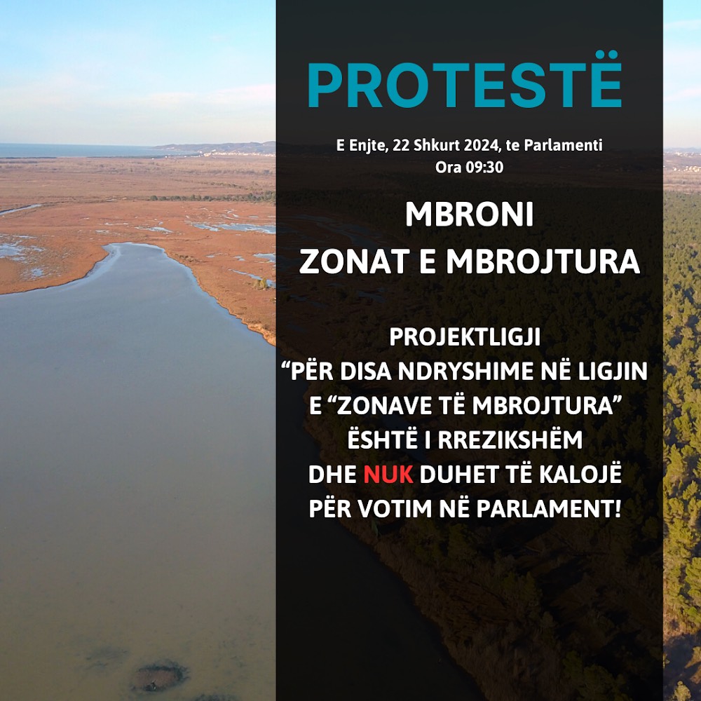 Join us in front of the Albanian Parliament to protest against the destruction of protected areas