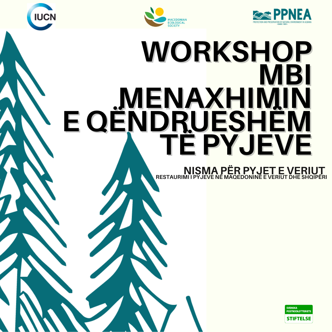 Workshop mbi Menaxhimin e Qëndrueshëm të Pyjeve