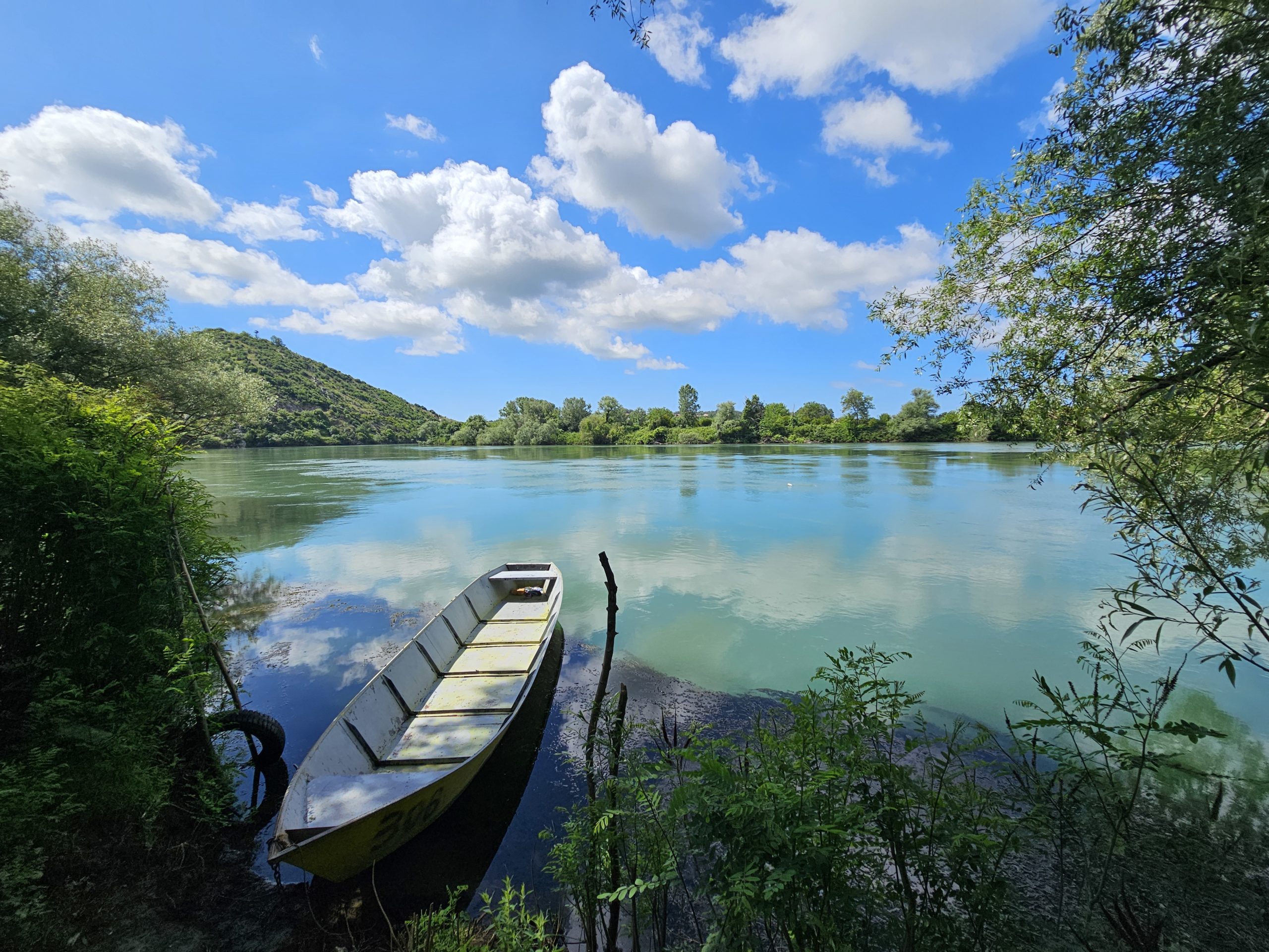 ADRIATIC STURGEON: A LOST TREASURE IN THE BUNA RIVER