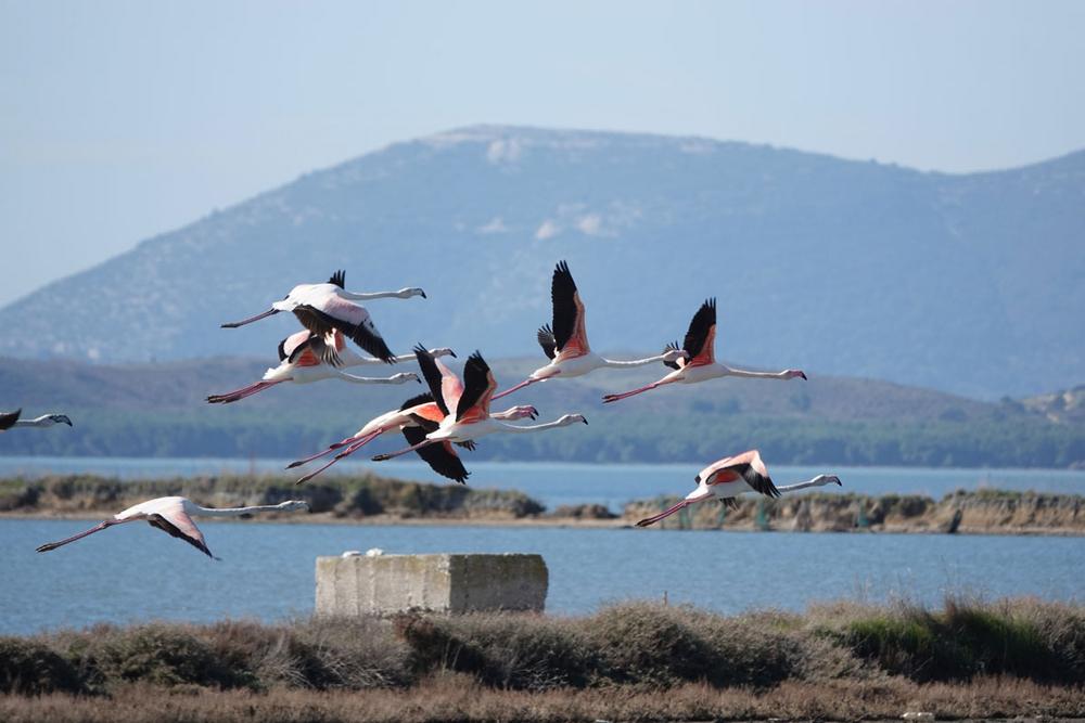 Biodiversity: Spotlight on the Western Balkans