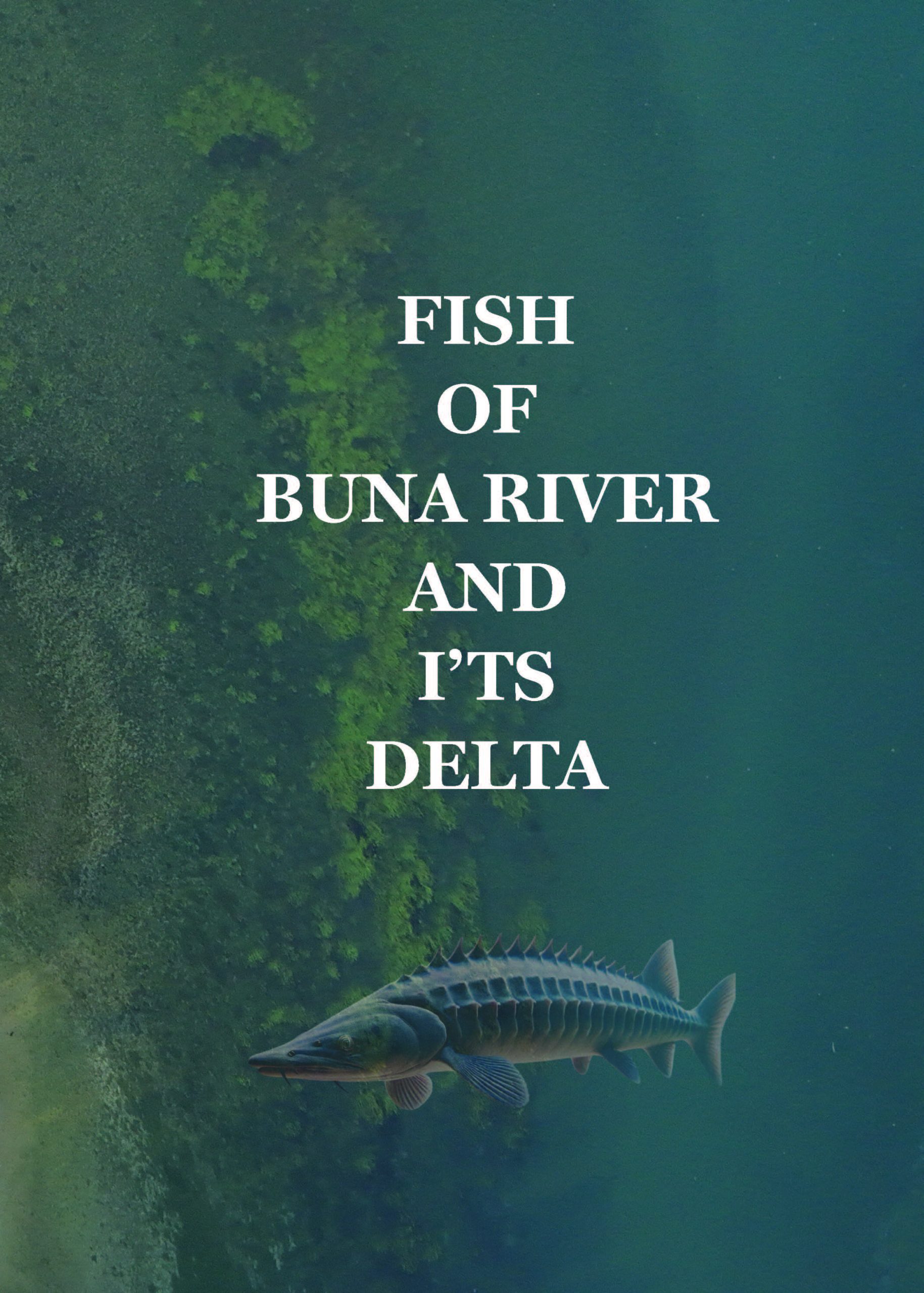 Fish of Buna River and I’ts Delta