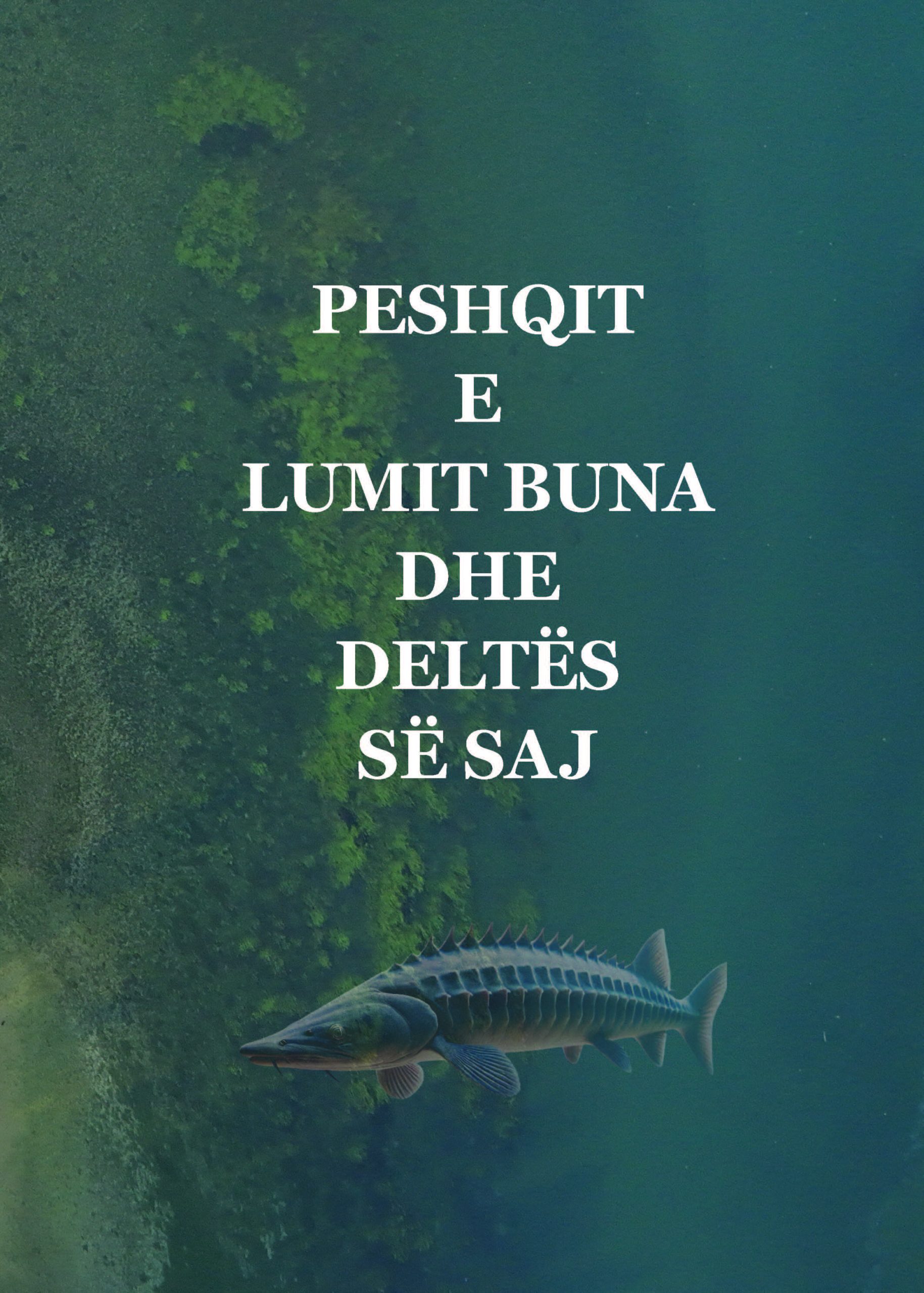 Peshqit e Lumit Buna dhe Deltës së saj