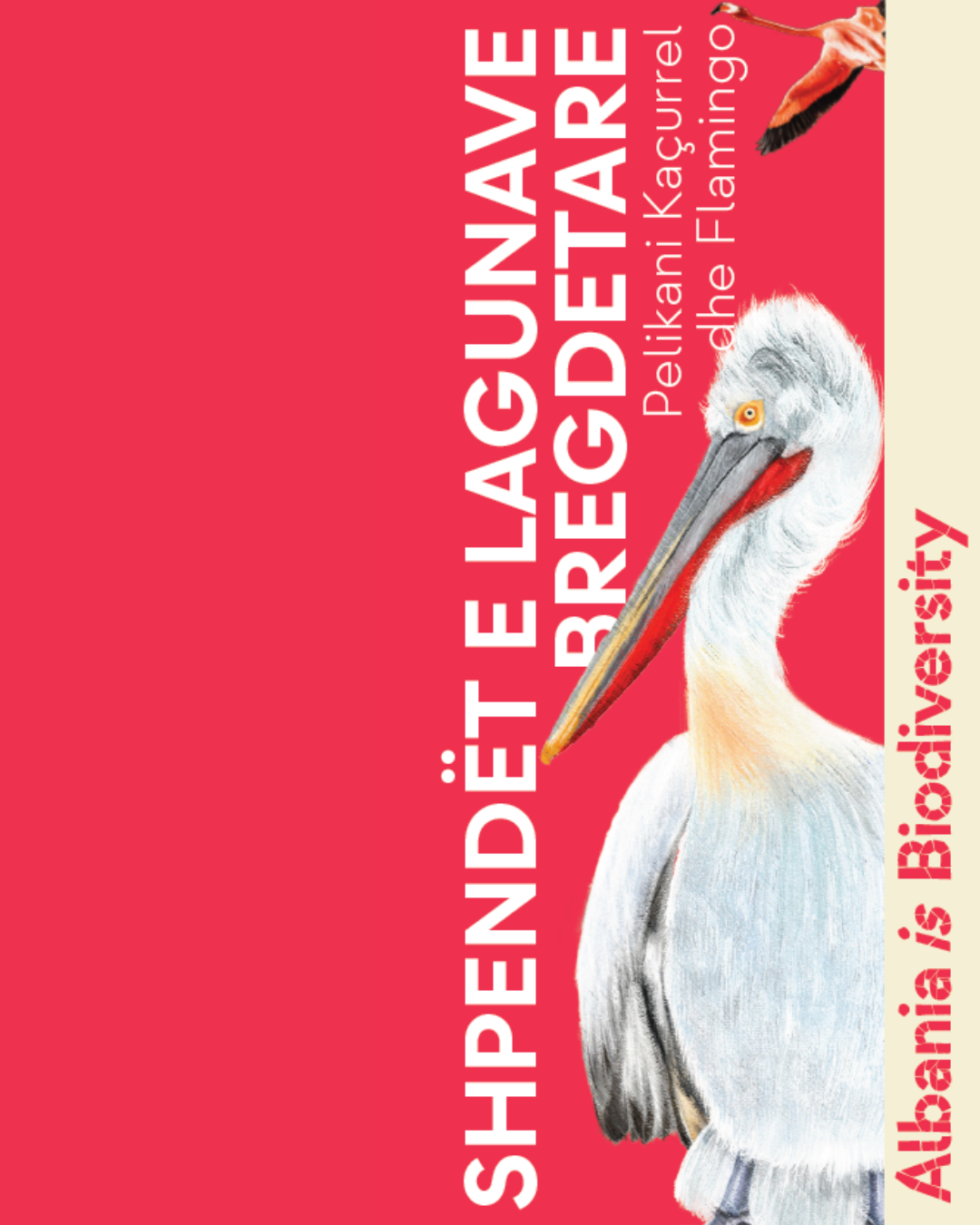 Shpendët e lagunave bregdetare