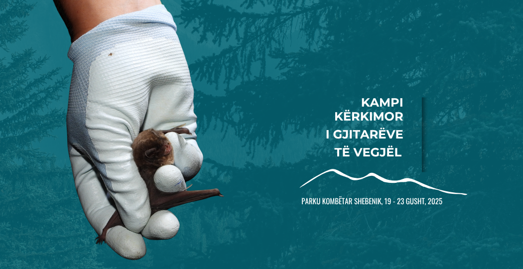 KAMPI NDËRKOMBËTAR I GJITARËVE TË VEGJËL 2025