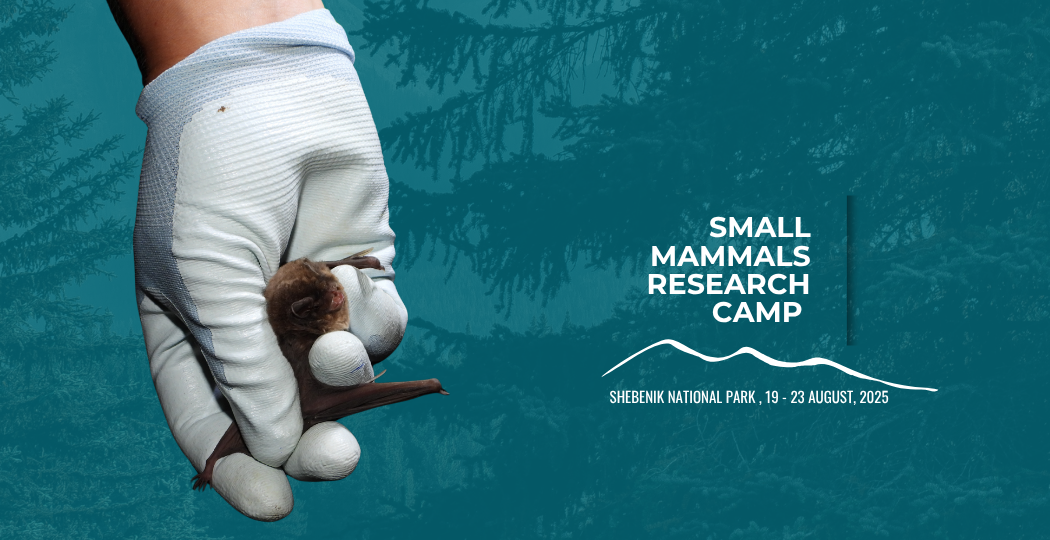 INTERNATIONAL SMALL MAMMALS CAMP 2025
