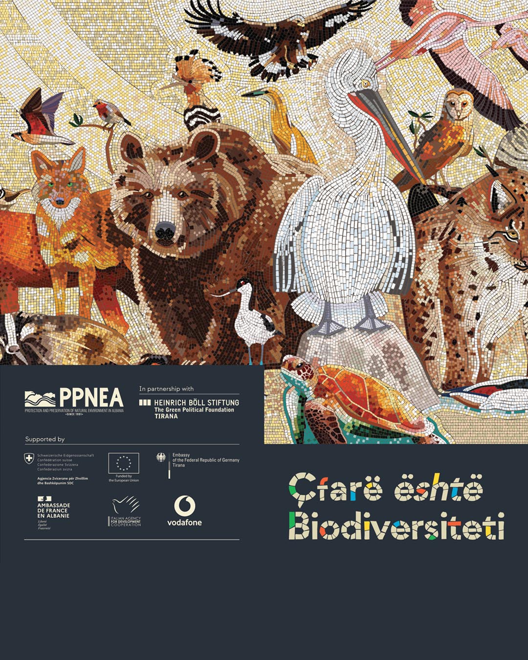Çfarë është biodiversiteti?