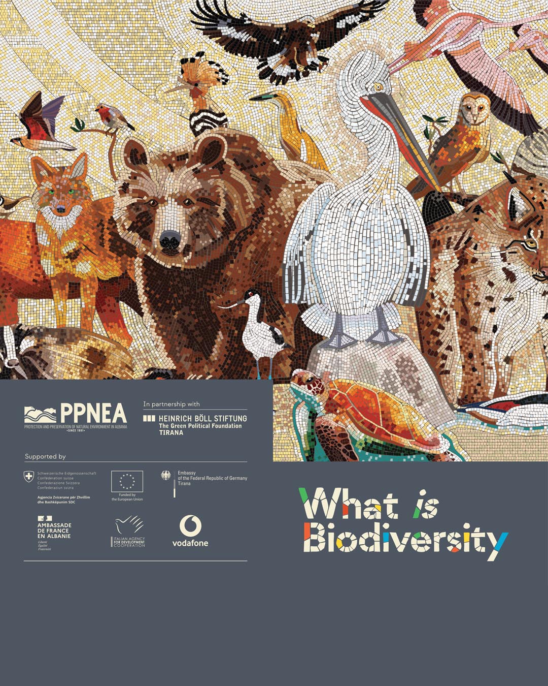 What is Biodiversiy?