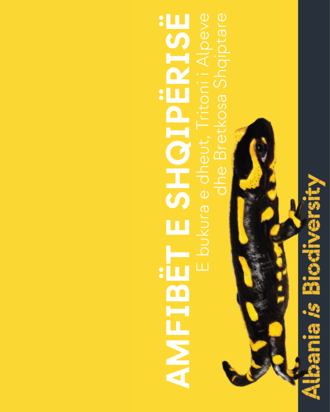 Amfibët e Shqipërisë