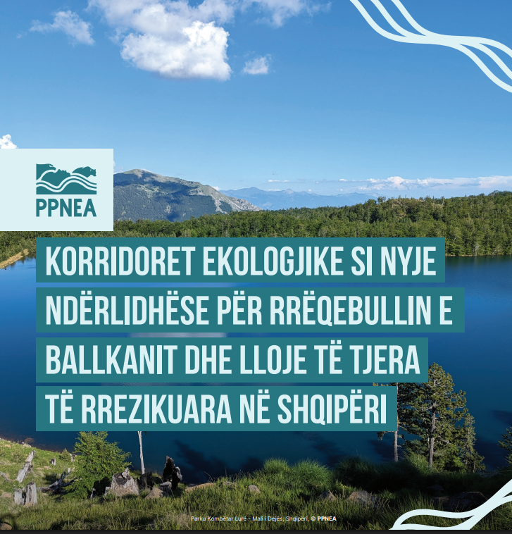 KORRIDORET EKOLOGJIKE SI NYJE NDËRLIDHËSE PËR RRËQEBULLIN E BALLKANIT DHE LLOJE TË TJERA TË RREZIKUARA NË SHQIPËRI