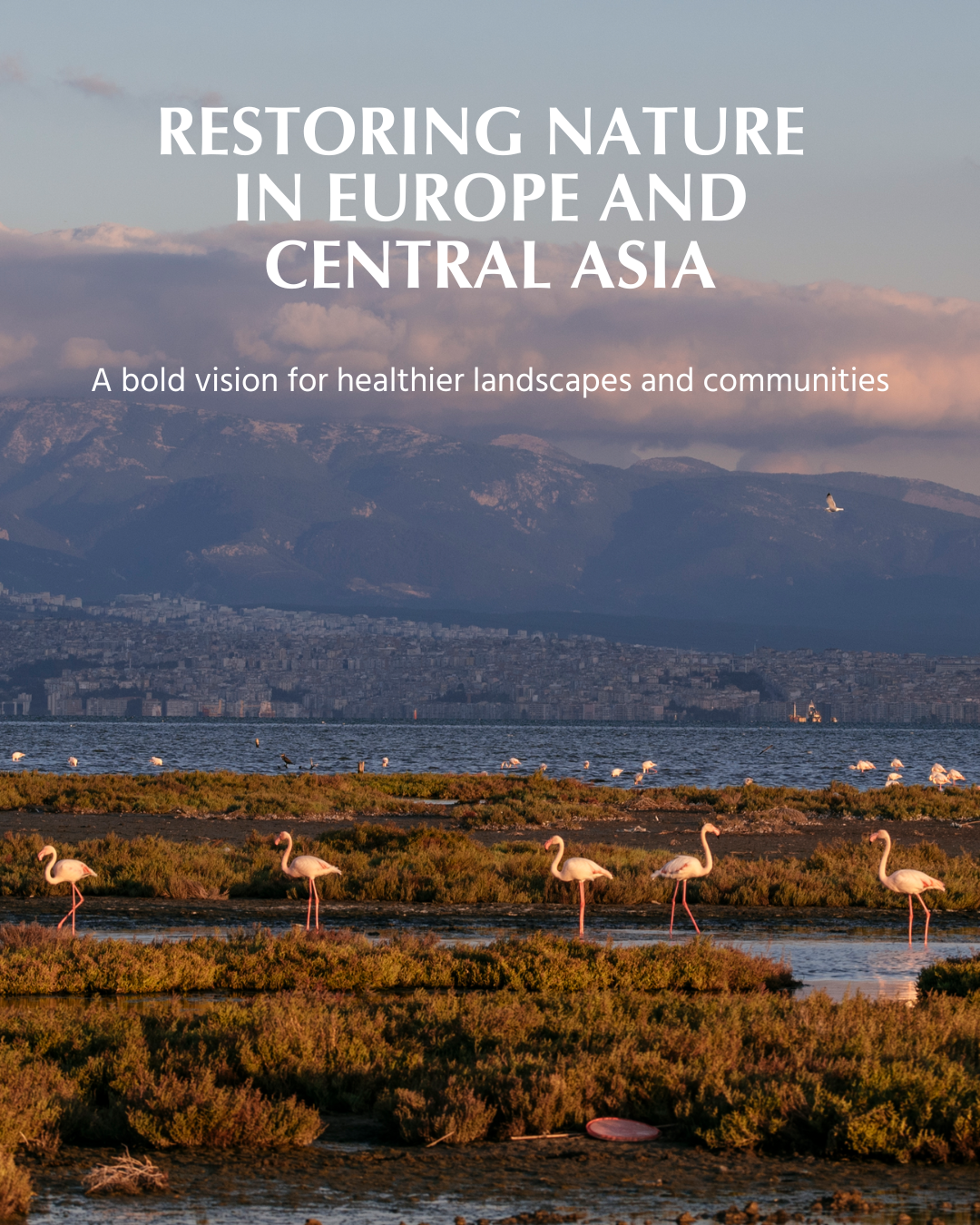 Restoring Nature in Europe And Central Asia