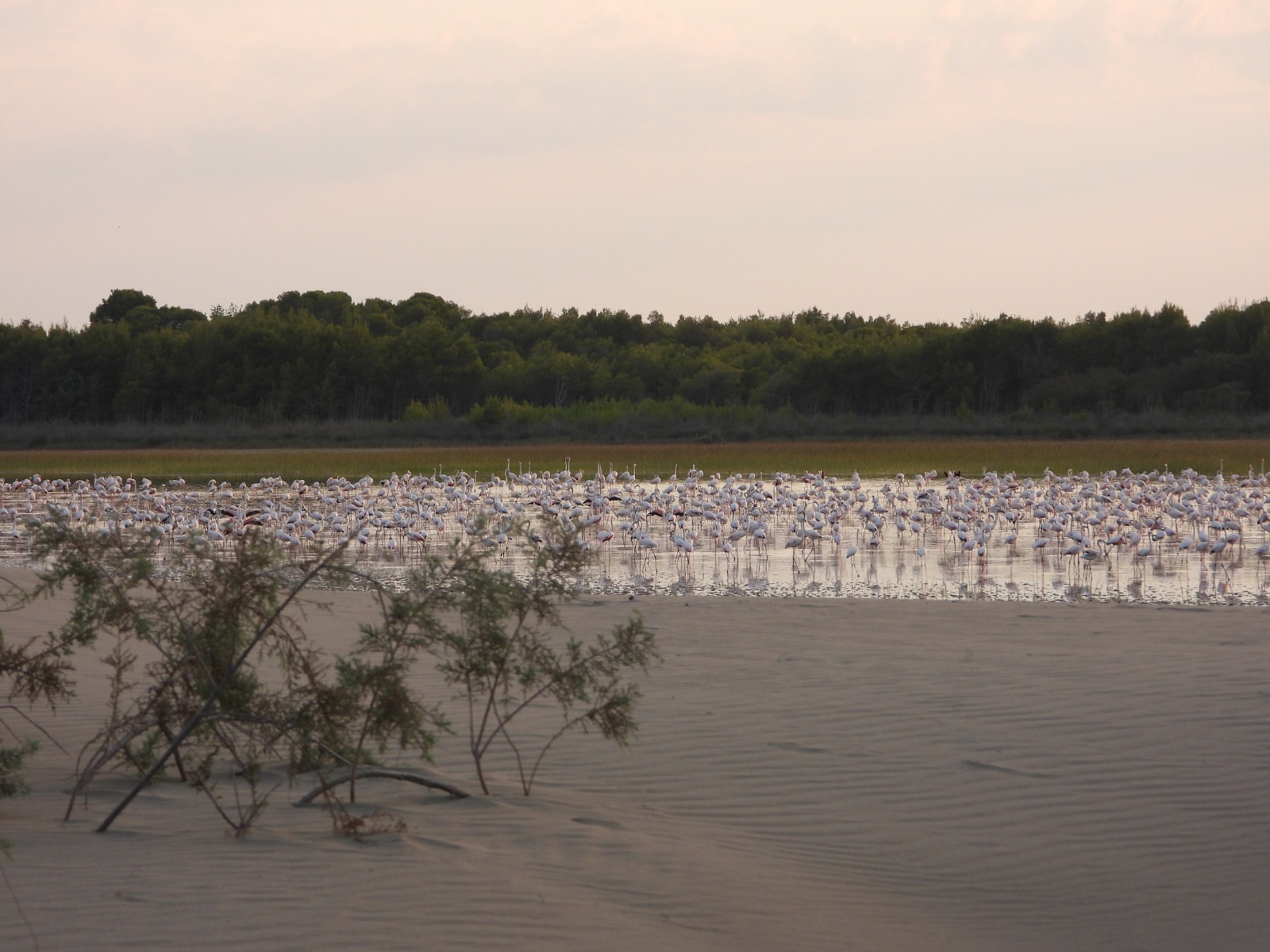 IUCN Demands Albania to Amend Law Undermining the Protection of Protected Areas