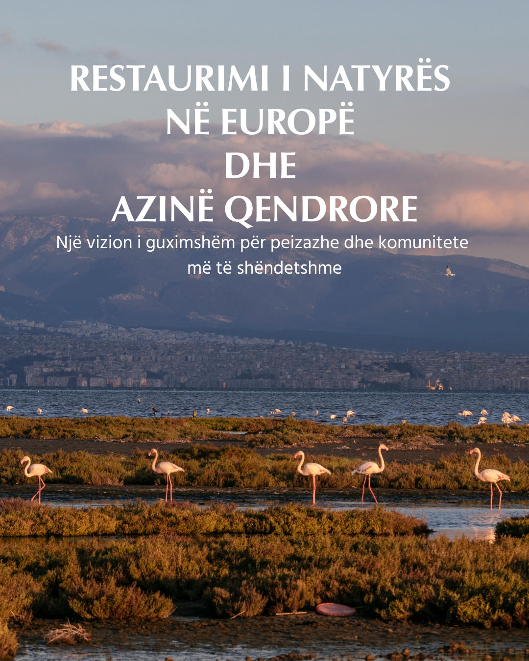 Restaurimi i natyrës në Europë dhe Azinë Qendrore