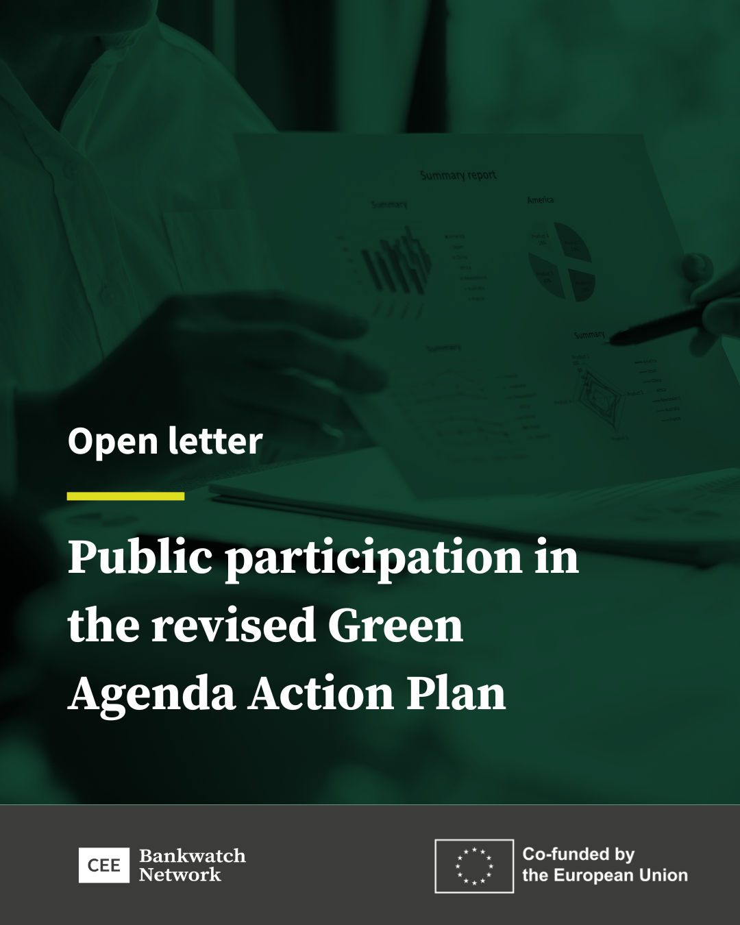 Public participation in the revised Green Agenda Action Plan