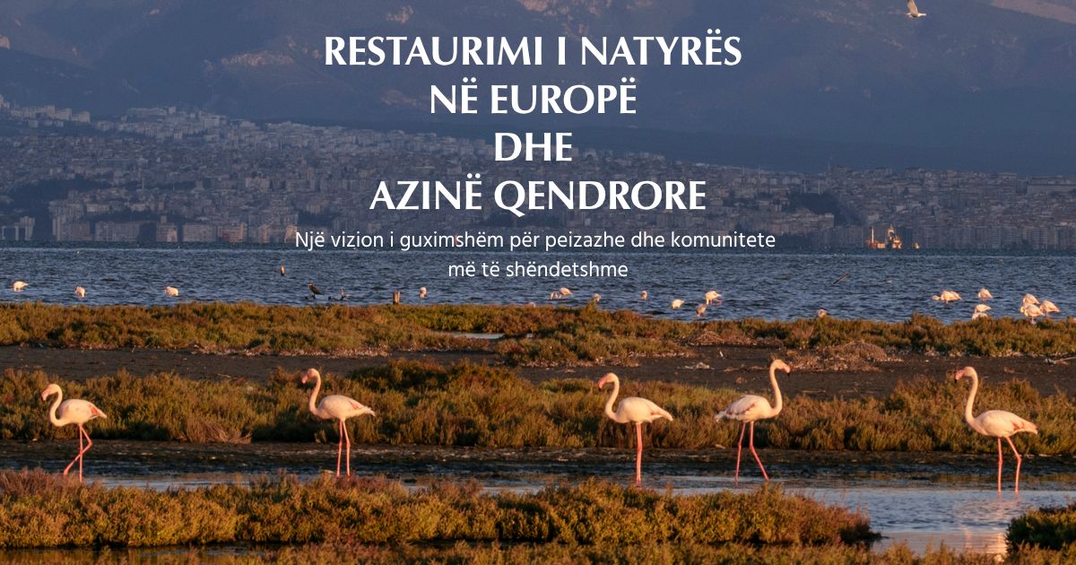 Restaurimi i natyrës në Europë dhe Azinë Qendrore