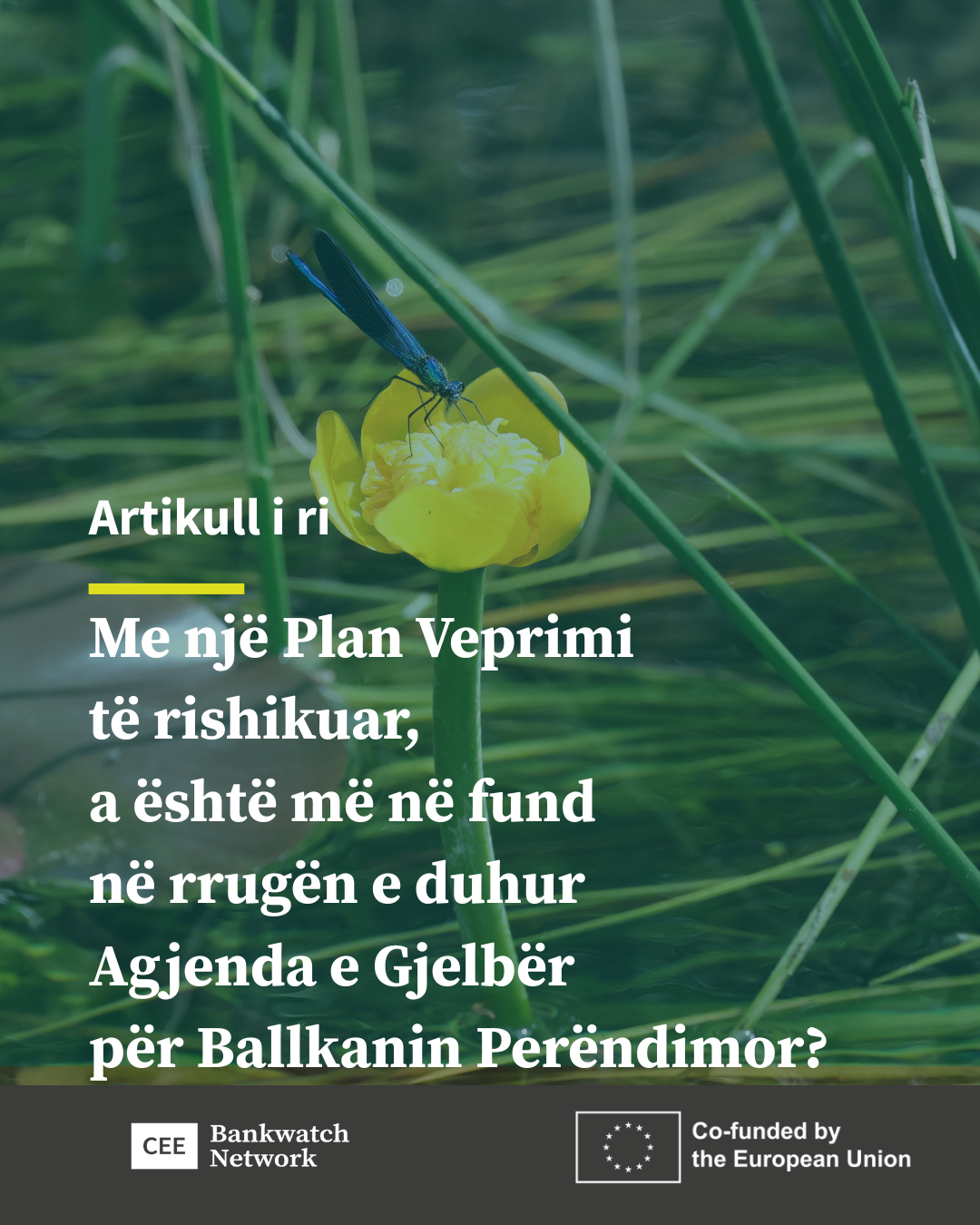 Me një Plan Veprimi të rishikuar, a është më në fund në rrugën e duhur Agjenda e Gjelbër për Ballkanin Perëndimor?