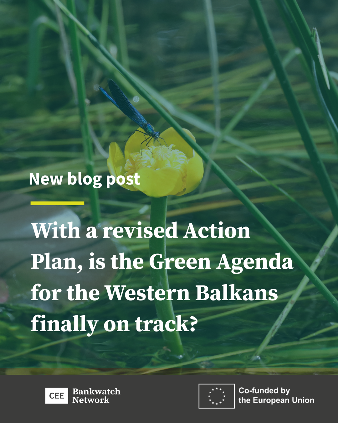 With a revised Action Plan, is the Green Agenda for the Western Balkans finally on track?