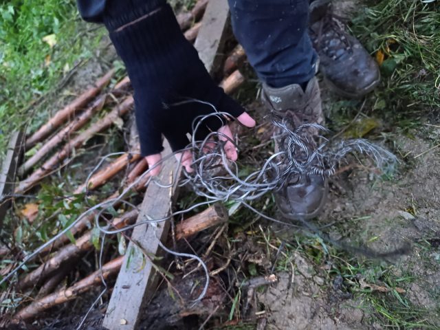 WhatsApp Image 2025-11-18 at 20.14.50