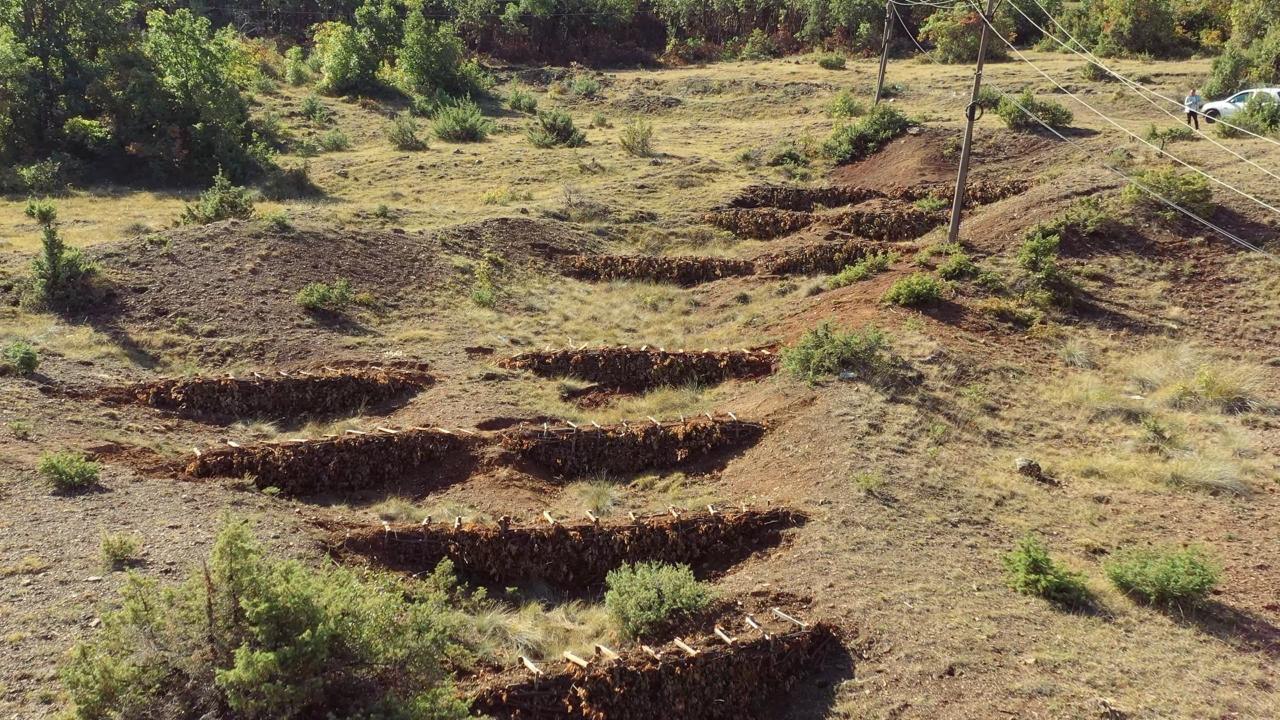 Northern Forests Initiative – A Cross-Border Success Story in Forest Restoration