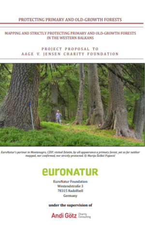 Forest Beyond Borders Report