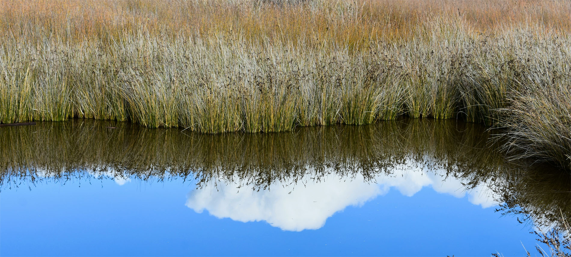 Komuniteti i Praktikës për Kontratat e Ligatinave në Mesdhe