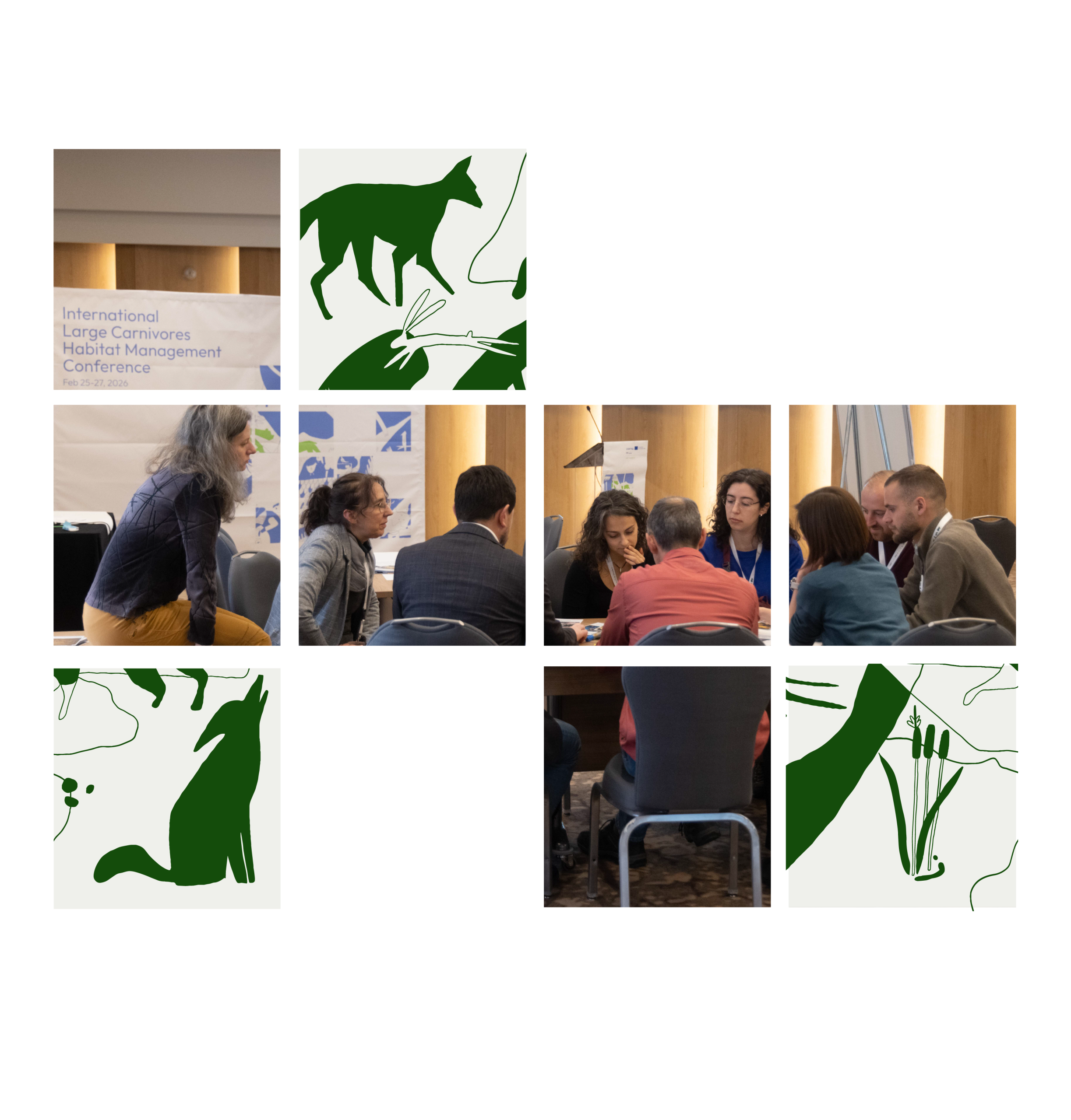 PRESS RELEASE: Strengthening Regional Cooperation for Large Carnivore Conservation: Albania Hosts the International Large Carnivores Habitat Management Conference under the 4PETHABECO Project