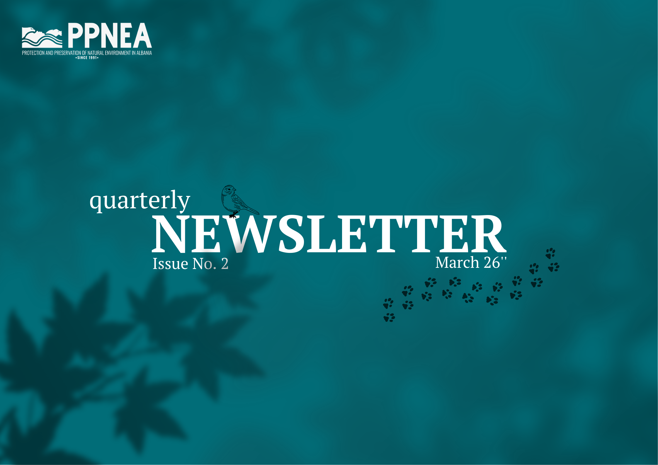 PPNEA Newsletter – Issue No.2