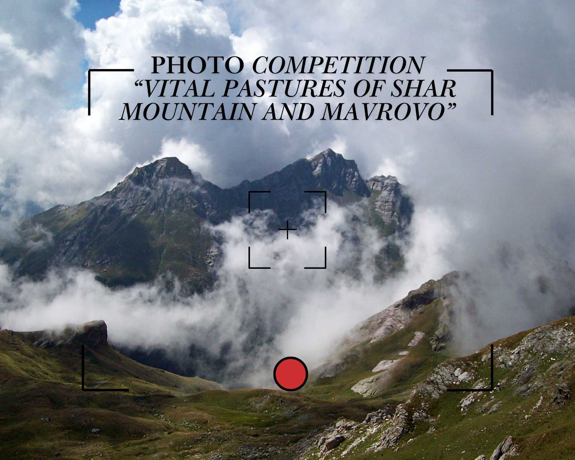 Photo Competition: “Vital pastures of cross boarder parks Shar-Korab-Koritnik-Mavrovo”