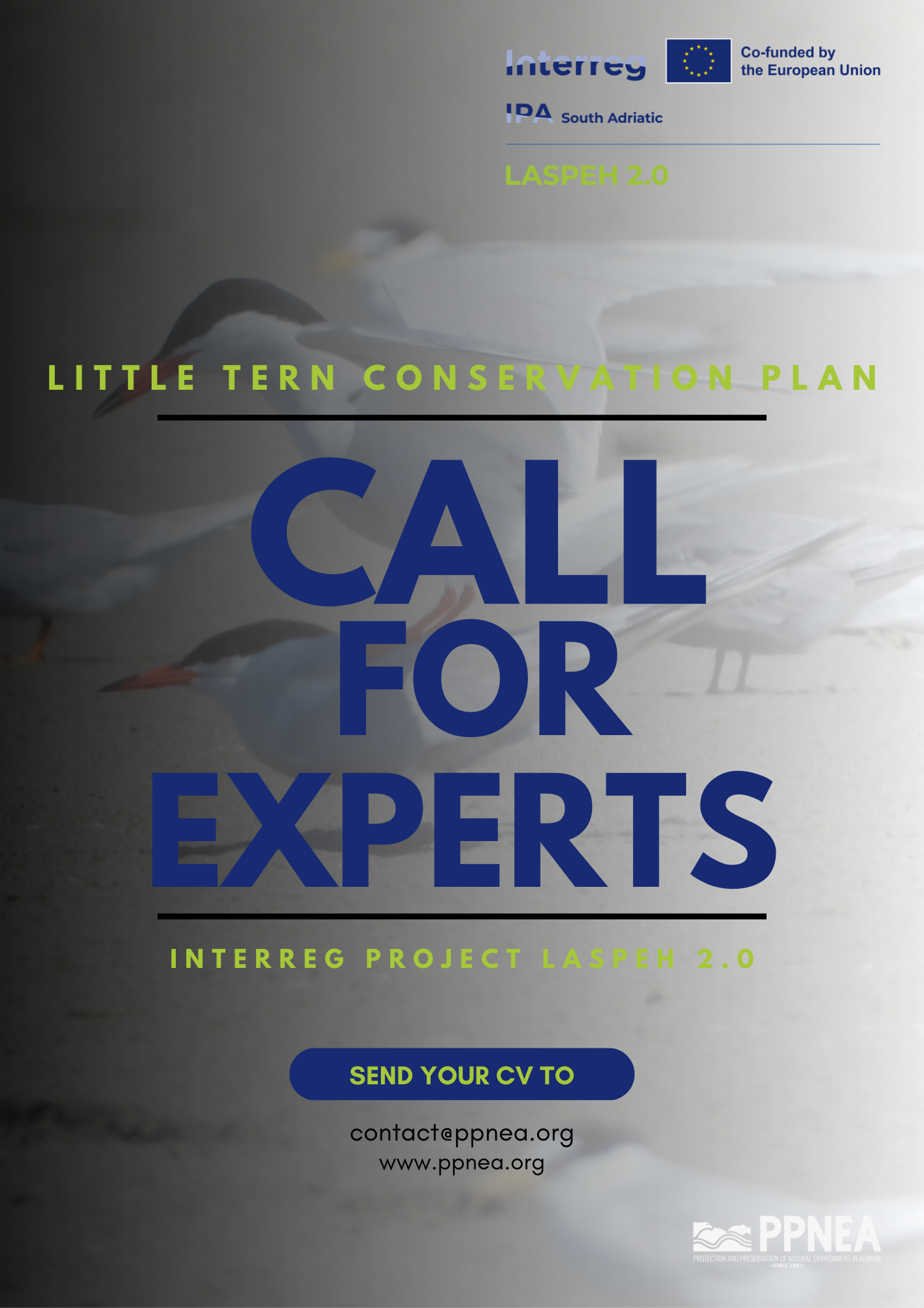 Thirrje për Ekspertë!