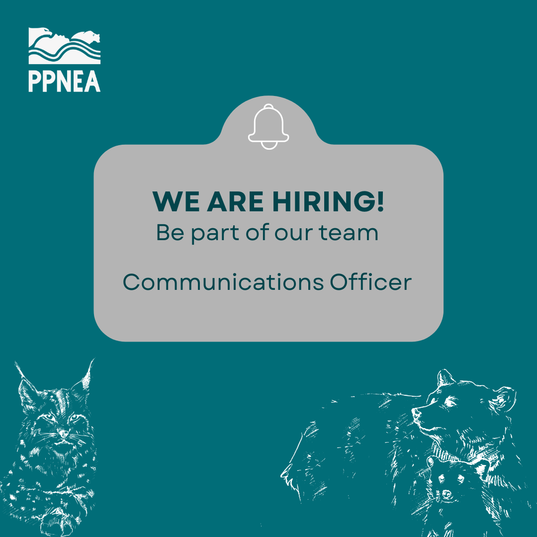 Call for Communications Officer