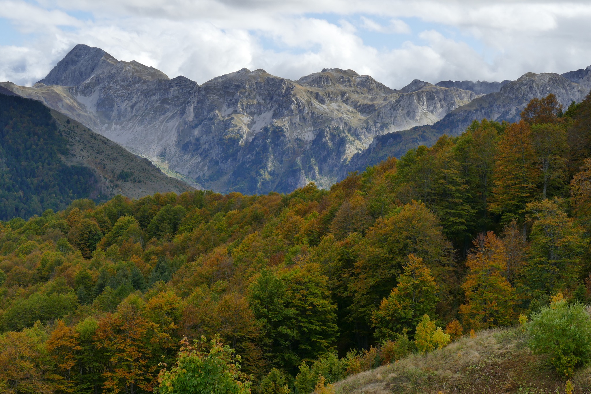 Regional Meetings on Transboundary Management of Protected Areas in the Western Balkans