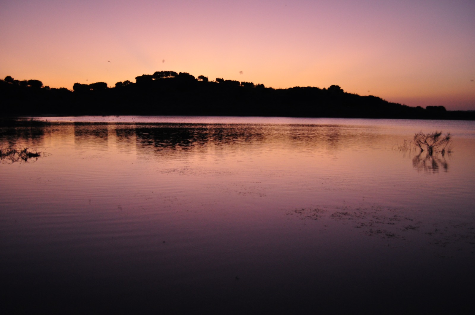 A New Step for Mediterranean Wetlands: Community of Practice Established and Policy Paper Published.